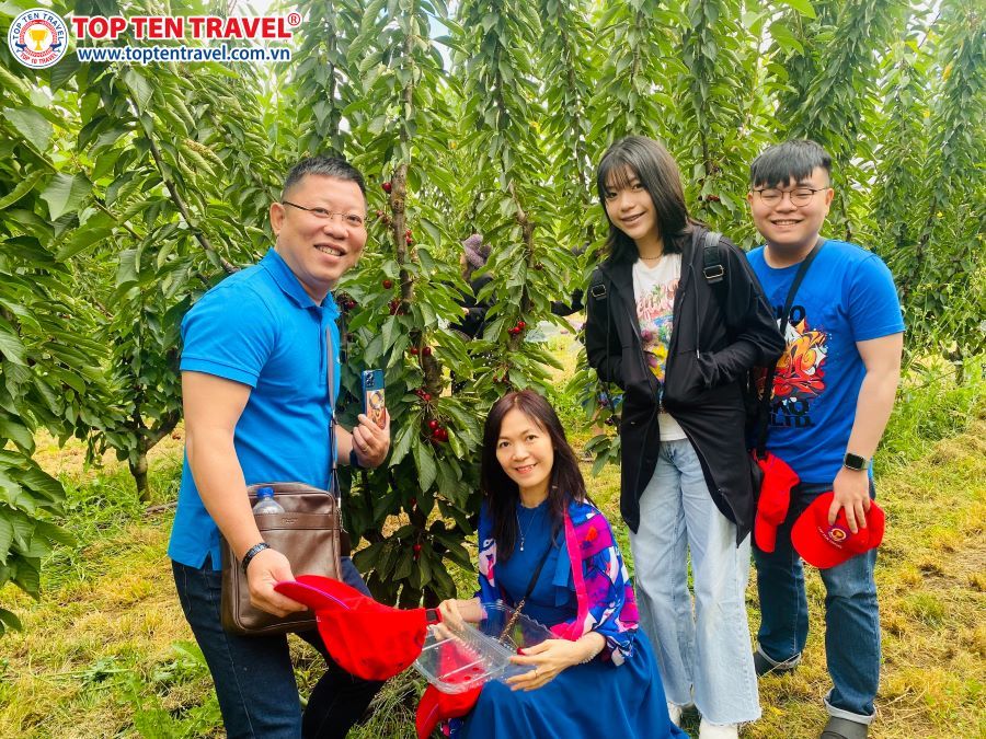 Trải nghiệm hoạt động tham quan tại vườn trái cây